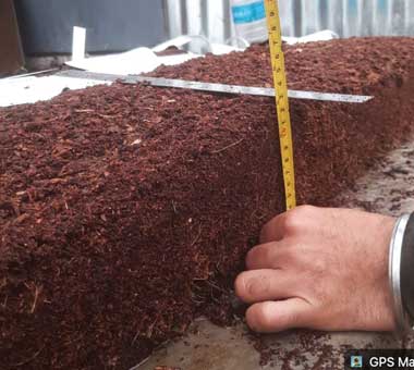 coco-coir-naked-slap